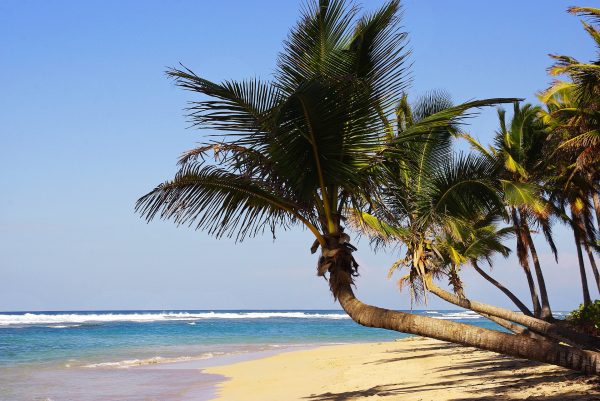 Avio karte Beograd Punta Cana playa Bavaro
