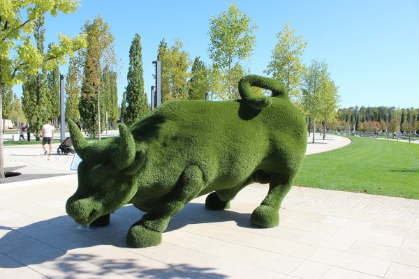 Krasnodar park